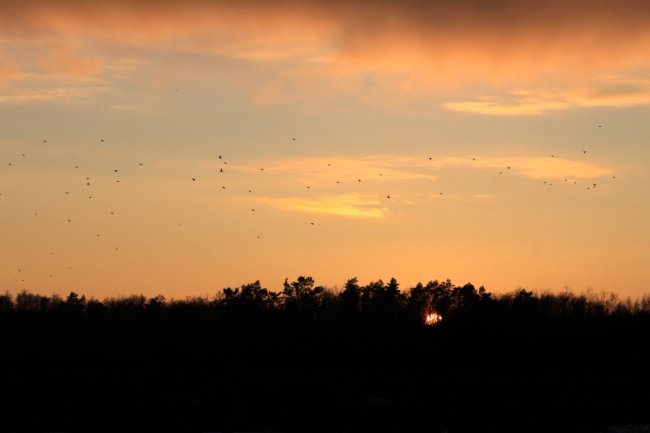 Околиці міста Ківерці на світлинах волинського фотографа