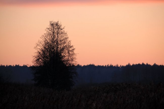 Околиці міста Ківерці на світлинах волинського фотографа