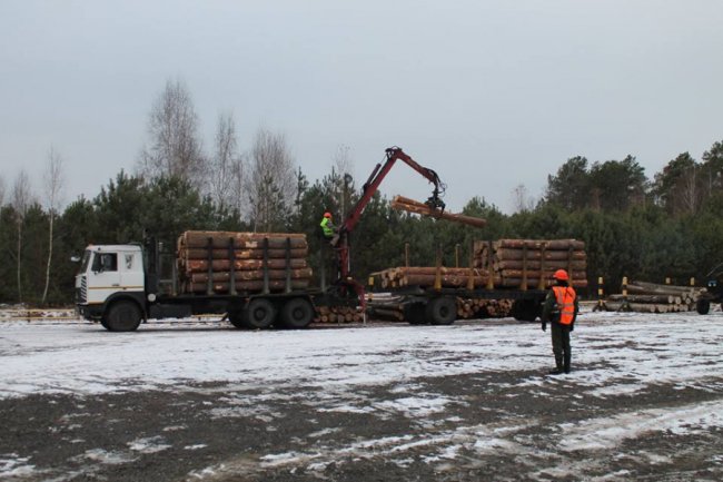 На Волині лісівники збудували 8 кілометрів дороги. ФОТО