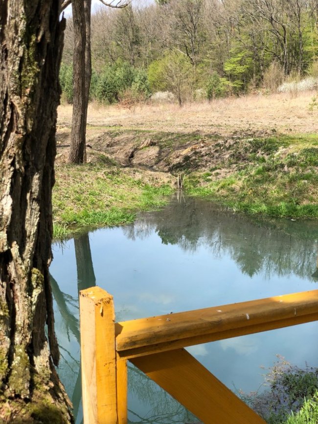 Лісівники відновили унікальне джерело та урочище на Волині