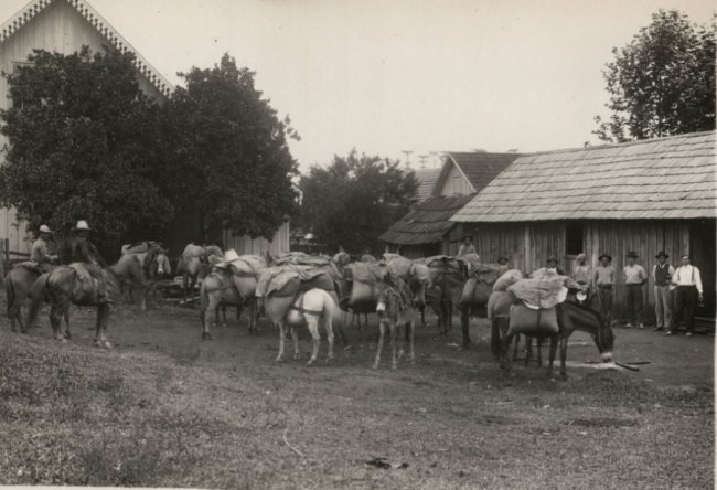 Пересування емігрантів на конях по Бразилії, 1930-ті роки.