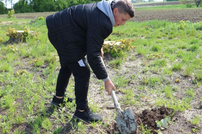 У громаді поблизу Луцька одинадцятикласники заклали біля школи сад з екзотичних дерев. ФОТО