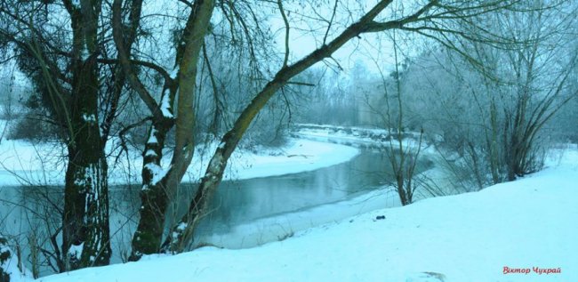 Луцький фотограф показав, де на Стиру «дрімають мавки»