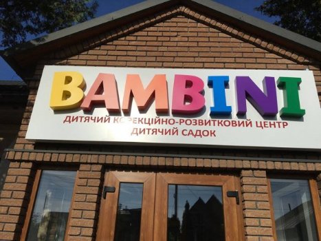 Відеокамера зафіксувала, як з території приватного дитсадка на Волині чоловік краде саджанці туї. ВІДЕО