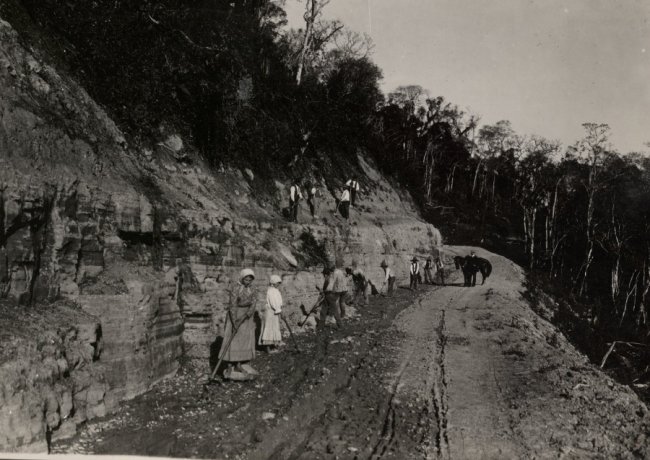 Будівництво емігрантами дороги до своїх поселень, 1930-ті роки.