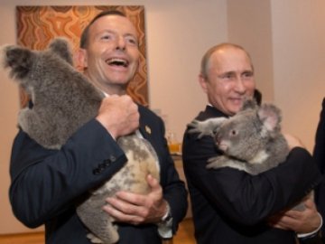 Путін і коала на саміті великої двадцятки. ФОТОЖАБИ 