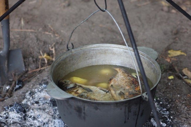 На Волині відбулися змагання з лісового багатоборства. ФОТО