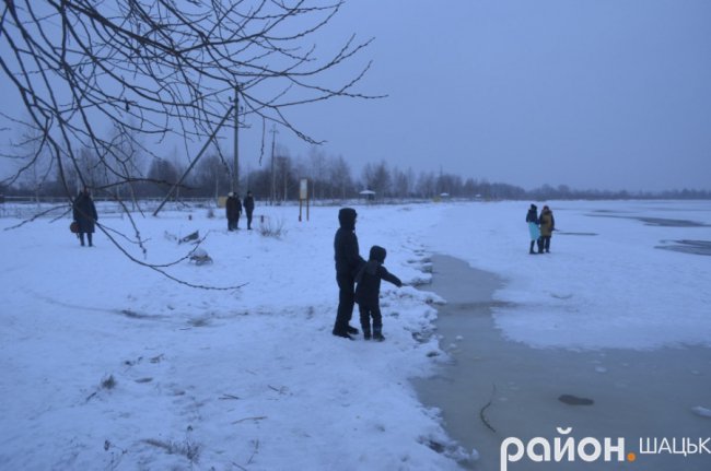 Волиняни врятували від морозу та голоду на озері десятки лебедів. ВІДЕО