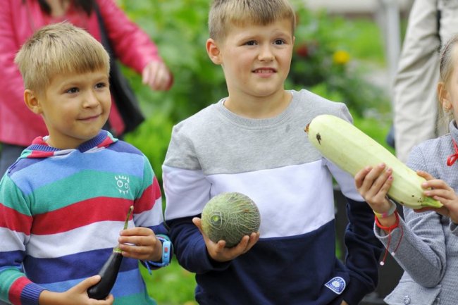 Кавуни, баклажани, перчики: у Луцькому зоопарку зібрали овочі, які садили діти. ФОТО