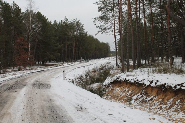 На Волині лісівники збудували 8 кілометрів дороги. ФОТО