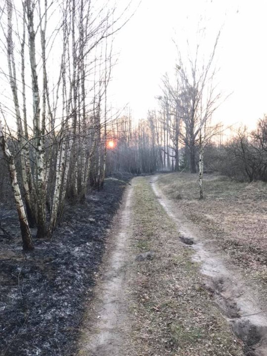 Унікальне село на Волині ледь не спалили. ФОТО, ВІДЕО 