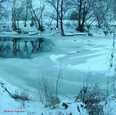 Луцький фотограф показав, де на Стиру «дрімають мавки»