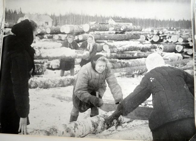 На Волині відійшов у вічність лісівник-ветеран 