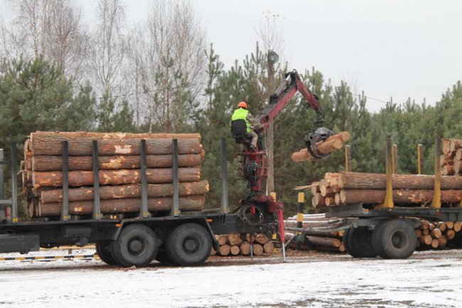 На Волині лісівники збудували 8 кілометрів дороги. ФОТО