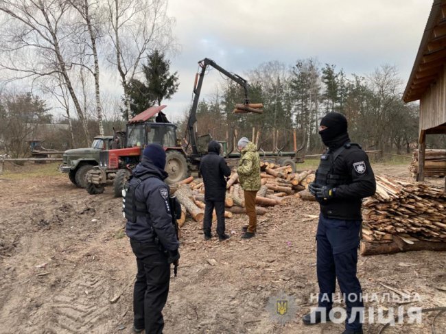 Пульти керування пилорамами, добротне дерево: на Камінь-Каширщині – обшуки. ФОТО. ВІДЕО