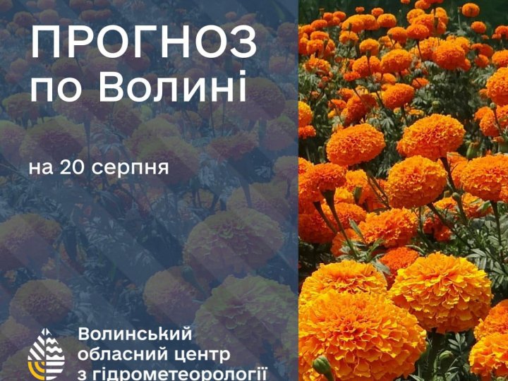 Погода в Луцьку та Волинській області на завтра, 20 серпня