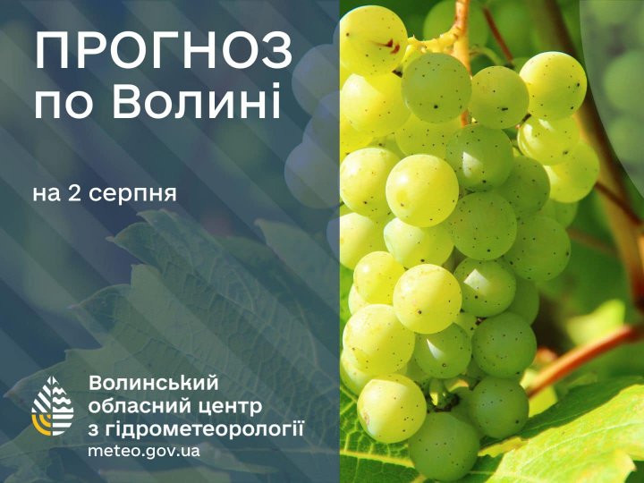 Погода в Луцьку та Волинській області на завтра, 2 серпня