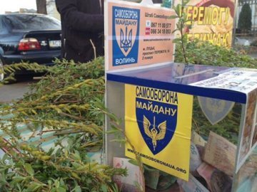 У Луцьку продавали вербу заради військових