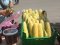 На луцьких ринках стрімко дешевшає городина: яка ціна на молоду кукурудзу, картоплю, огірки та кабачки