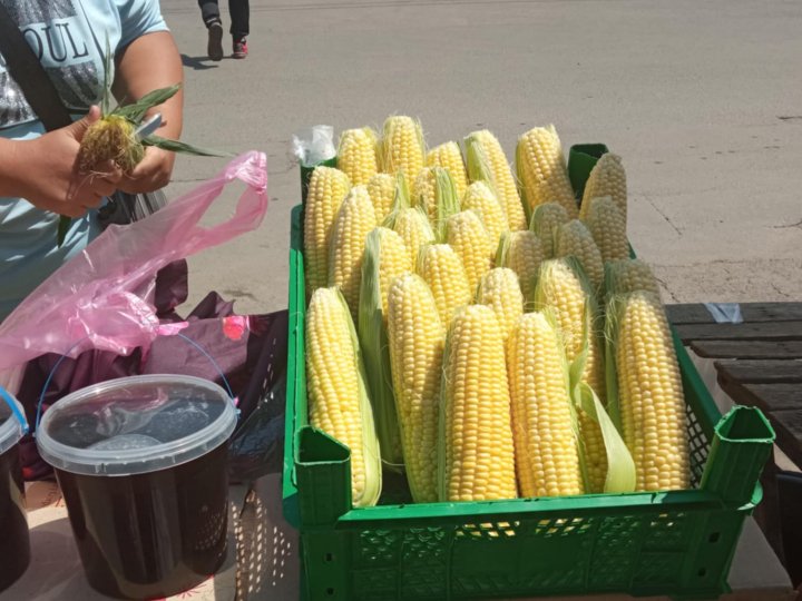 На луцьких ринках стрімко дешевшає городина: яка ціна на молоду кукурудзу, картоплю, огірки та кабачки