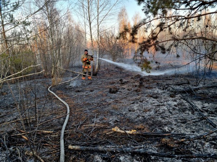 На Волині горить торфовище: вогонь тліє вже другий день