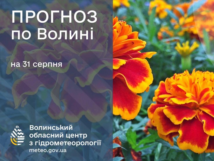 Погода в Луцьку та Волинській області на завтра, 31 серпня