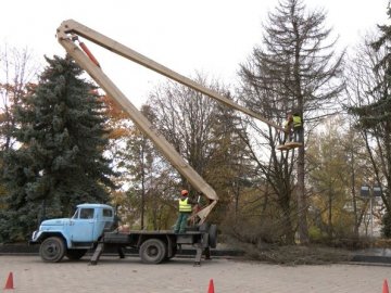 На меморіалі у Луцьку зрізали 5 дерев. ВІДЕО