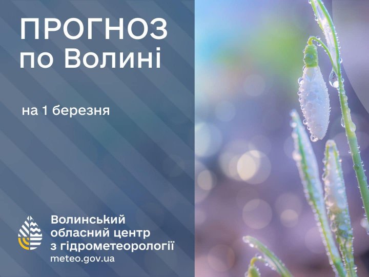 Погода в Луцьку та Волинській області на завтра, 1 березня