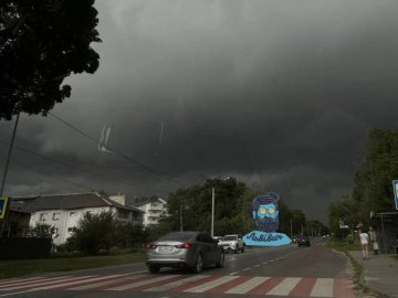 Потужна злива у Львові повалила 100 дерев