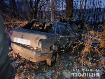 З’їхав у кювет та врізався у дерево: на Волині у ДТП постраждав 43-річний водій. ФОТО