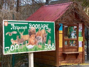 Через пожежу луцький зоопарк не працюватиме два дні