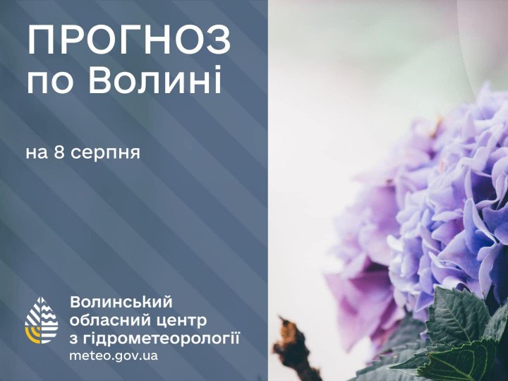 Погода в Луцьку та Волинській області на завтра, 8 серпня