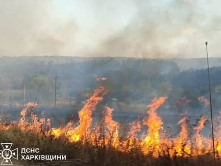 На Харківщині вирує масштабна лісова пожежа: евакуювали село, гасять 275 рятувальників