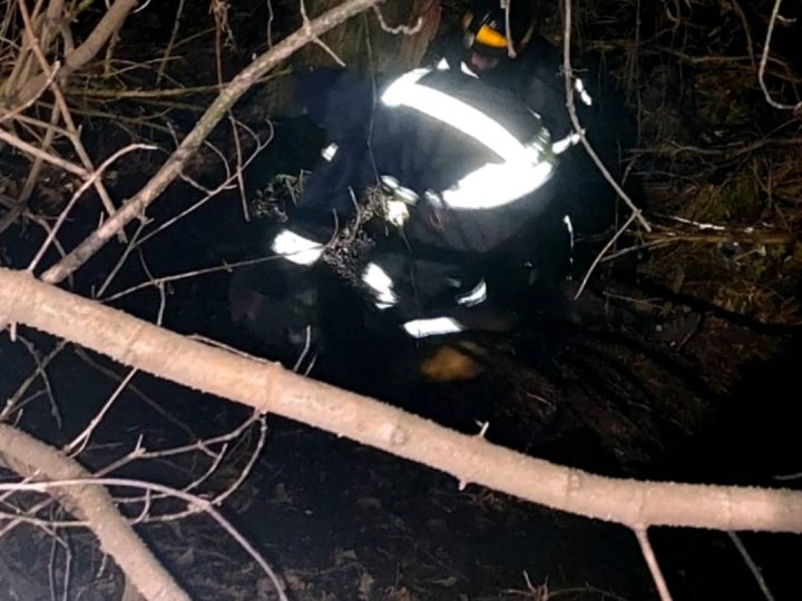 У Луцьку рятувальники допомогли двом чоловікам вибратися із болота