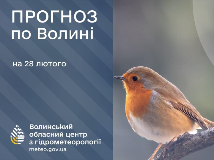 Погода в Луцьку та Волинській області на завтра, 28 лютого