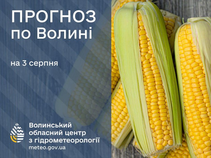 Погода в Луцьку та Волинській області на завтра, 3 серпня