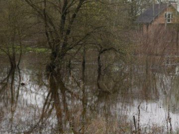 На Волині підтопило майже 3 тисячі гектарів угідь