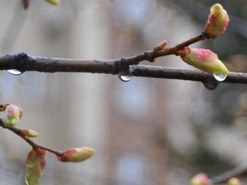 Погода у Луцьку на завтра, 18 квітня