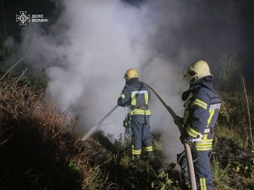 Вогонь охопив близько гектара: у Луцькому районі горіли суха трава та чагарники