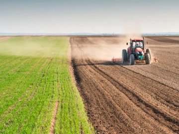 Малі аграрії Волині зможуть отримати фінансову підтримку від уряду