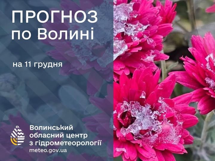 Погода в Луцьку та Волинській області на завтра, 11 грудня