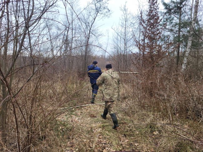 На Волині тривають пошуки зниклої студентки