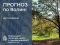 Погода в Луцьку та Волинській області на завтра, 13 вересня