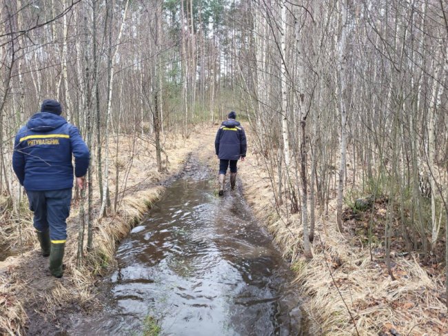 На Волині тривають пошуки зниклої студентки