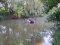 Катався на дошці для плавання: у Луцьку в Стиру втопився 18-річний хлопець