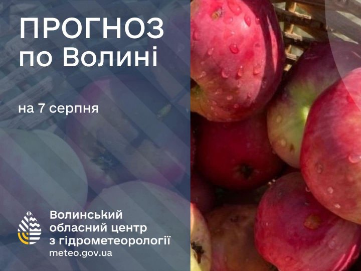 Погода в Луцьку та Волинській області на завтра, 7 серпня