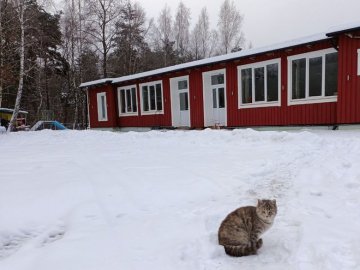 Майже пів сотні переселенців живуть у реконструйованому під житло оздоровчому таборі на Волині