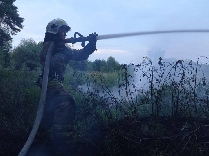 Пожежа сухостою на Волині мало не перекинулася на ліс