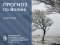 Погода в Луцьку та Волинській області на завтра, 22 січня