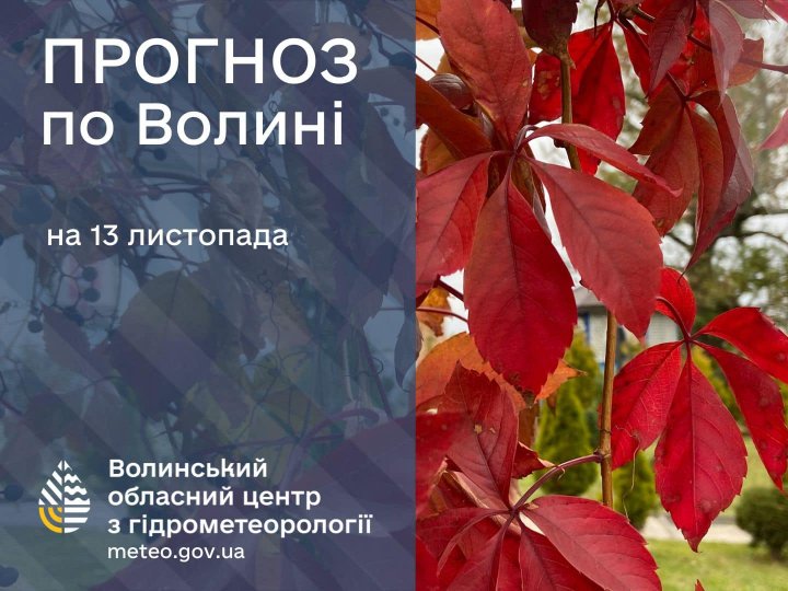 Погода в Луцьку та Волинській області на завтра, 13 листопада